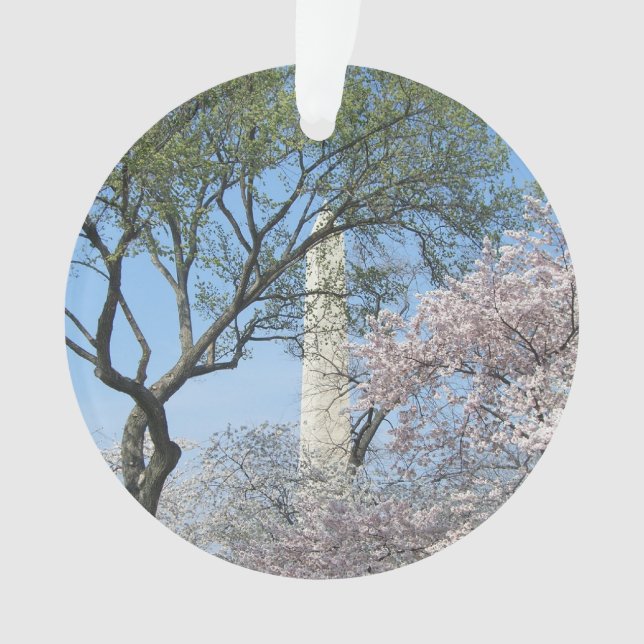 Cherry Blossoms et le monument de Washington à DC (devant)