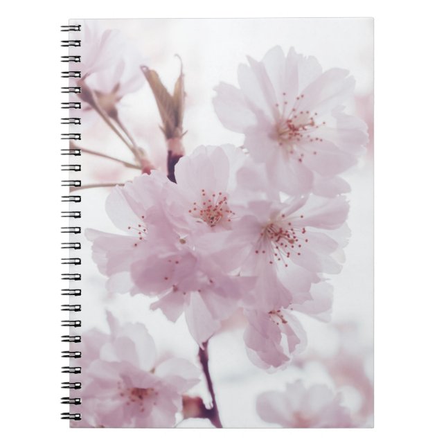 CHERRY BLOSSOMS FLOWERS NOTEBOOK (Front)