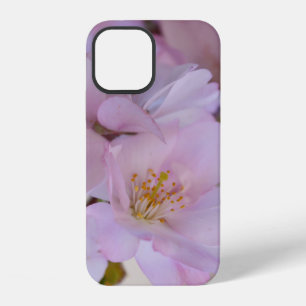 Cherry Blossoms Gift Box Case-Mate iPhone Case