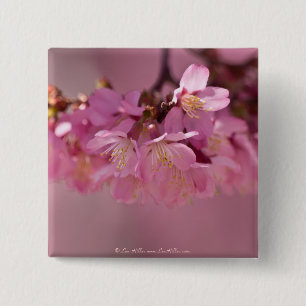 Cherry Blossoms Hot Spring  2012 Apparel  & Gifts 2 Inch Square Button