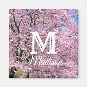 Cherry Blossoms in Bloom Magnet
