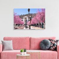 Cherry Blossoms in Hot Springs Arkansas Poster