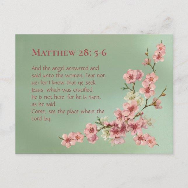 Cherry Blossoms in Pink and Teal Postcard (Front)