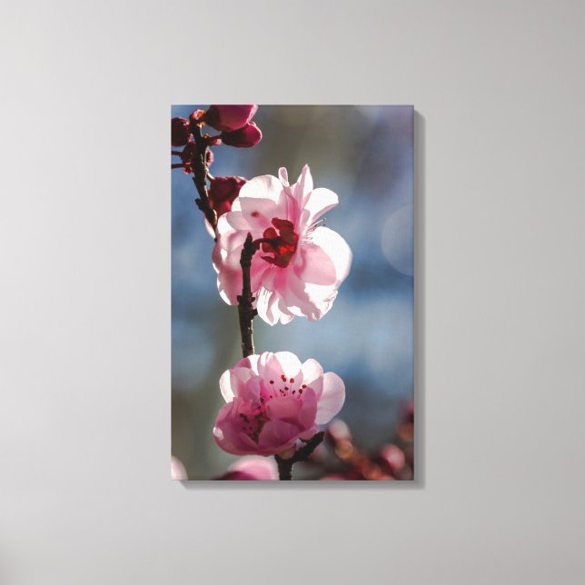 Cherry Blossoms in the Sunshine Triptych Art Canvas Print (Front)
