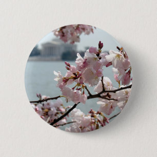 Cherry Blossoms in Washington DC 2 Inch Round Button