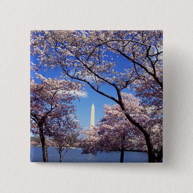Cherry Blossoms in Washington DC pinback button (Front)