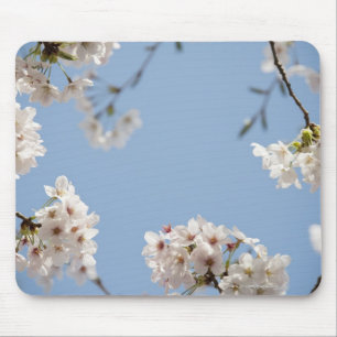 Cherry blossoms mouse pad