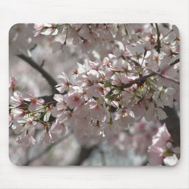 Cherry Blossoms Mousepad (Front)