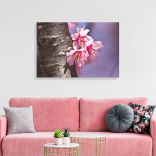 Cherry Blossoms Nestled Against Branch Poster Canvas Print