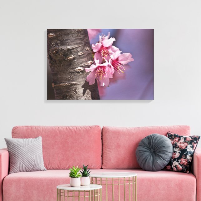 Cherry Blossoms Nestled Against Branch Poster Canvas Print (Insitu(LivingRoom))