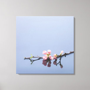 Cherry blossoms on water canvas print