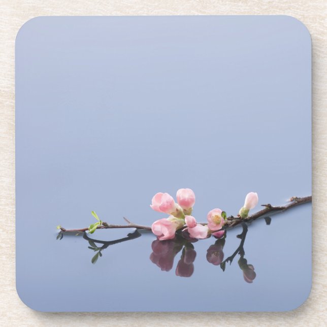 Cherry blossoms on water coaster (Front)