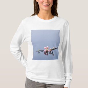 Cherry blossoms on water T-Shirt