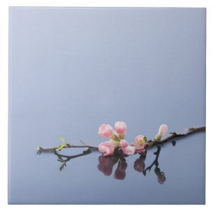 Cherry blossoms on water tile