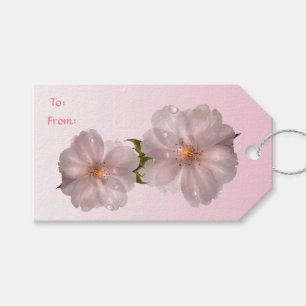Cherry Blossoms Pack of Gift Tags