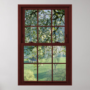 Cherry Blossoms Picture Window Illusion #1 of 3 Poster