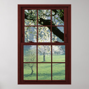 Cherry Blossoms Picture Window Illusion #2 of 3 Poster