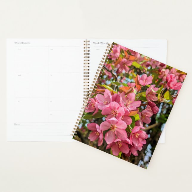 Cherry Blossoms Planner (Display)