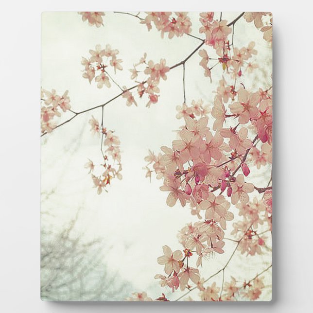 Cherry Blossoms Plaque (Front)