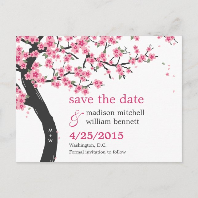 Cherry Blossoms Save The Date Postcard (Front)