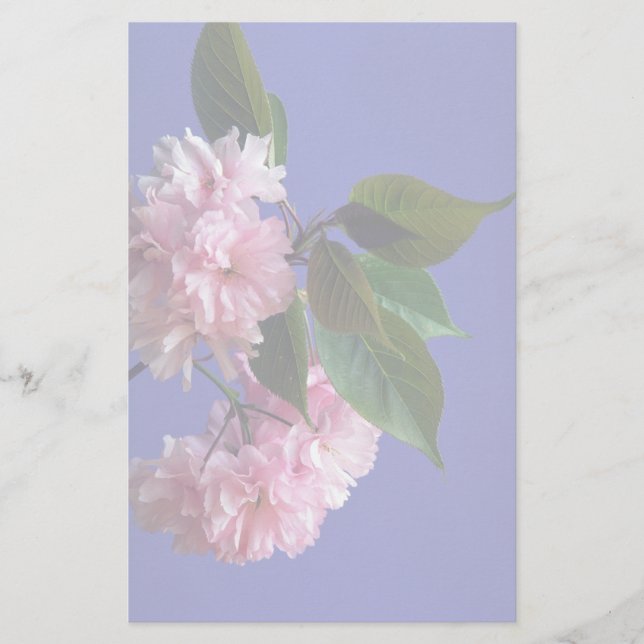 Cherry blossoms stationery (Front)