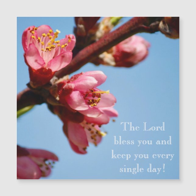 Cherry Blossoms "The Lord Bless You" Magnetic Card (Front)