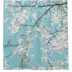 Cherry Blossoms: Turquoise Floral Trend