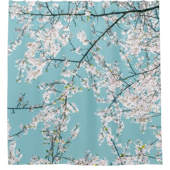 Cherry Blossoms: Turquoise Floral Trend (Front)