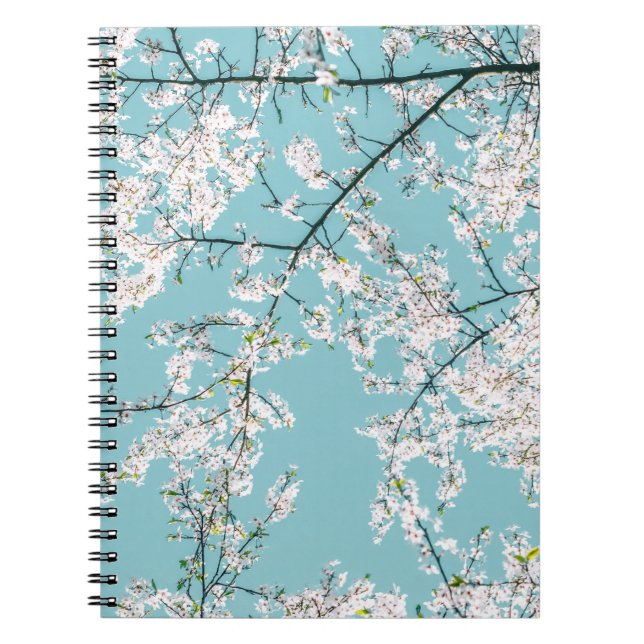 Cherry Blossoms: Turquoise Floral Trend Notebook (Front)