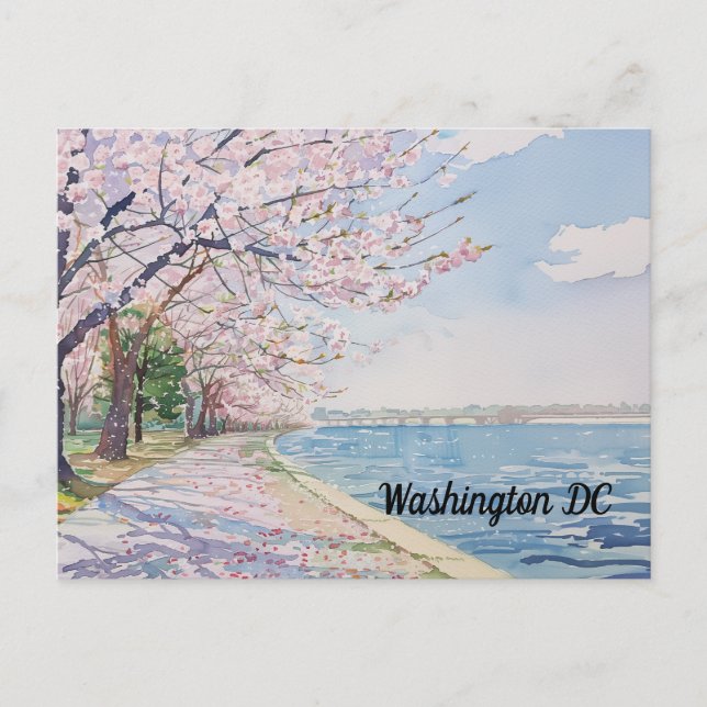 Cherry Blossoms Washington DC Tidal Basin Postcard (Front)