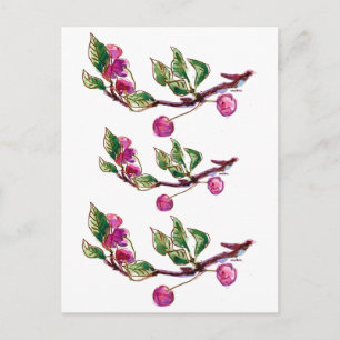 Cherry Branch Postcard