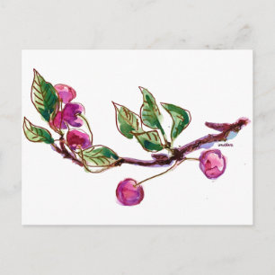 Cherry Branch Postcard