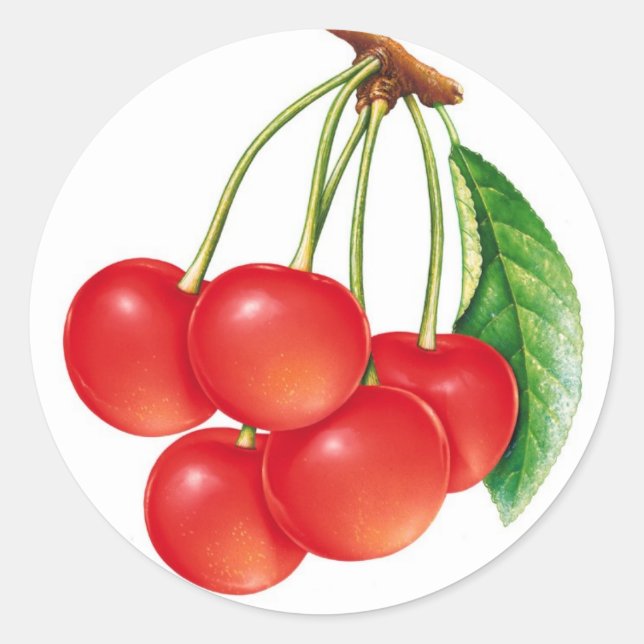 cherry classic round sticker (Front)
