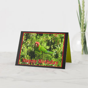 Cherry-headed Conure Happy Birthday Card