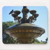 Cherry Hill Fountain Central Park NYC Photography