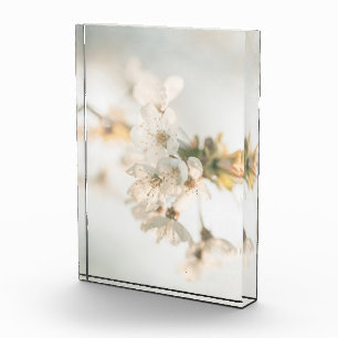 Cherry Nature Photo Block