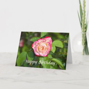 Cherry Parfait Rose Happy Birthday Card