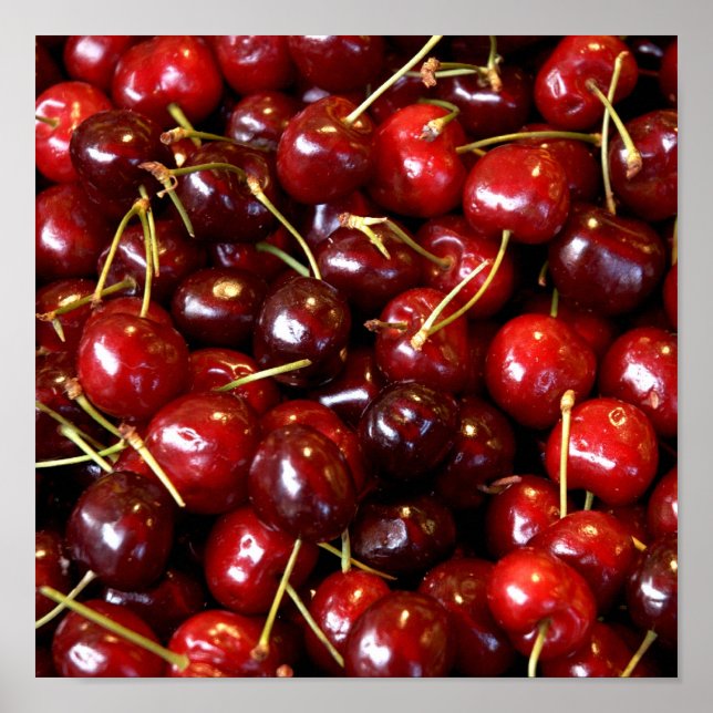 Cherry photo wall decoration on canvas (Front)