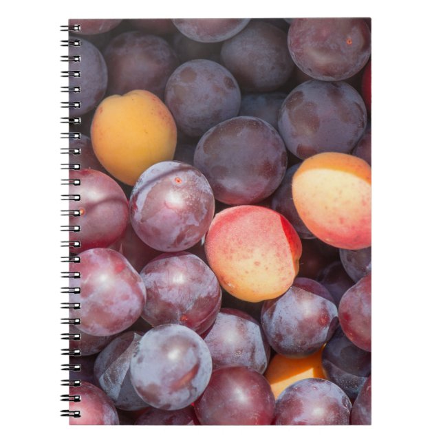 Cherry plum background notebook (Front)