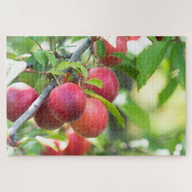 Cherry plum on branch jigsaw puzzle (Horizontal)