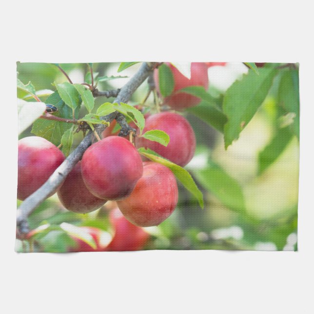 Cherry plum on branch kitchen towel (Horizontal)
