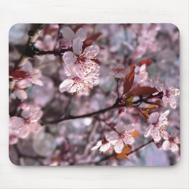 Cherry Plum Tree Pink Mouse Pad (Front)
