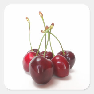 cherry ripe square sticker