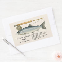 Cherry Salmon (Oncorhynchus masou) – English