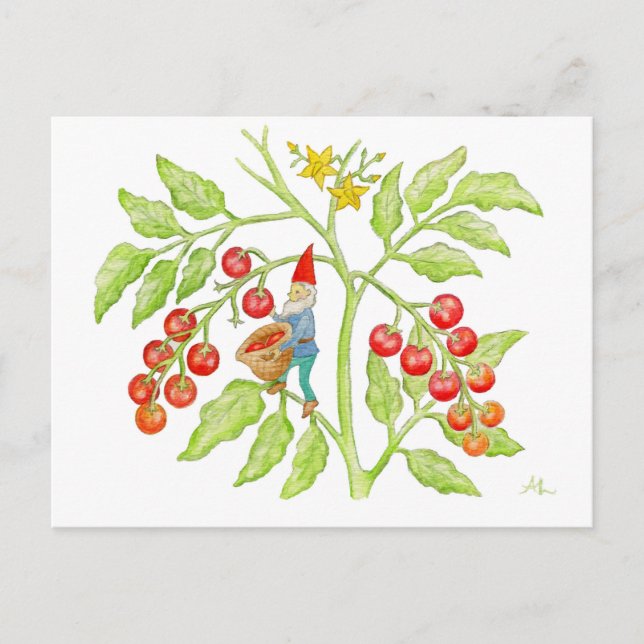 Cherry Tomato Gnome postcard (Front)
