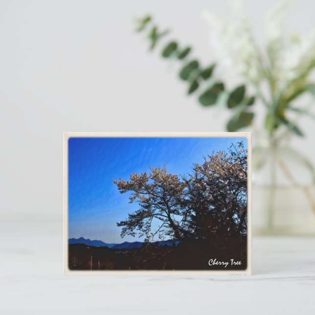 Cherry Tree ポストカード Postcard (Standing Front)