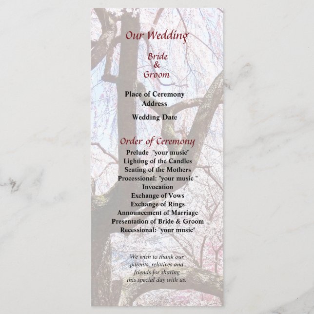 Cherry Tree Closeup Wedding Program (Front)