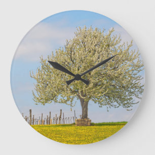 Cherry Tree In Spring Large Clock