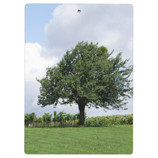 Cherry Tree In Summer Clipboard (Back)