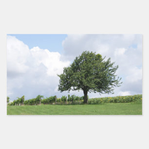 Cherry Tree In Summer Sticker